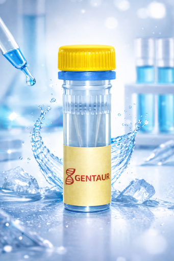 [SK1654] Nicotinamide Adenine Dinucleotide Reduced Form (NADH) disodium salt